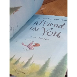 A friend like you - Andrea Schomburg, Barbara Rottgen - Little Tiger Press 994563
