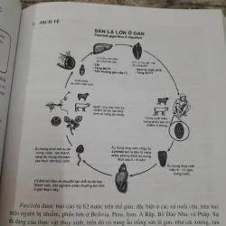 KÝ SINH TRÙNG Y HỌC. Bậc ĐH. ThS Bác sỹ Nhữ Thị Hoa. 787996