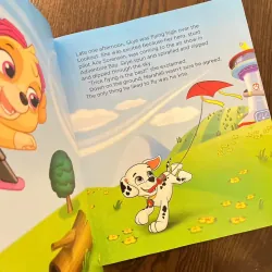 Skye’s Got to Fly 973777