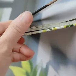 [Tặng nẹp góc] Truyện thiếu nhi Hàn Quốc: Moyamo Anu 40 -  모야모 아누와: 사람이 70살까지 살게 된 까닭;. 악 732041