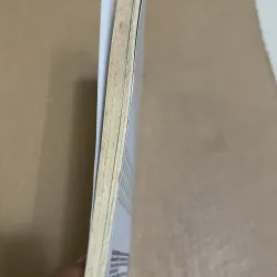 Lý Quang Diệu Bàn Về Cầm Quyền 1023008