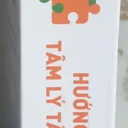 Sách Hướng dẫn chẩn đoán tâm lý tâm thần theo DSM-5 - TS. Phạm Toàn 1006231