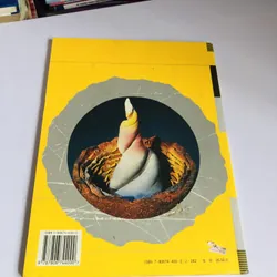 📘 陶艺设计 (Sách về thiết kế gốm sứ – tiếng Trung) 601397