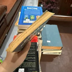 VẾT HẰN NĂM THÁNG – VÕ HỒNG 976286