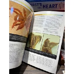 Tarantulas and Scorpions - Waybe Rankin 726819