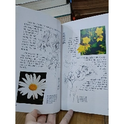 Nghệ thuật vẽ hoa bằng màu nước - Elisabeth Harden (Lệ Hằng dịch) 787806