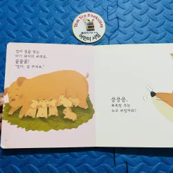 Set Boardbook tiếng Hàn B23 1001339