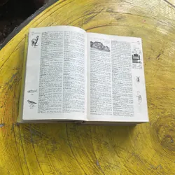 PETIT LAROUSSE- bìa cứng xuất bản năm 1961 596097