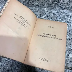 TÔ ĐÔNG PHA NHỮNG PHƯƠNG TRỜI VIỄN MỘNG - TUỆ SỸ 1005994