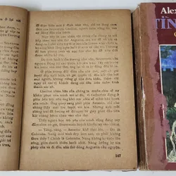 Alexandre Dumas cha - TÌNH MỘNG 703499