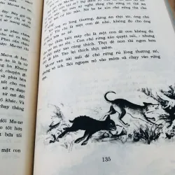 TRUYỆN NGẮN CHÂU Á HÔM NAY ( NXB Kim Đồng 1994) 960186