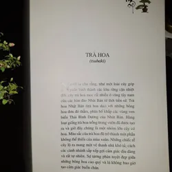 bonsai - Kunio Kobayashi 604214