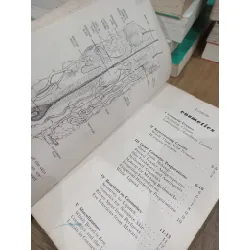 The look you like - Linda Allen 703756