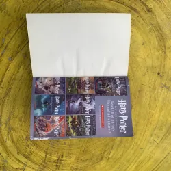 HARRY POTTER AND THE PRISONER OF AZKABAN- J.K. ROWLING 799926