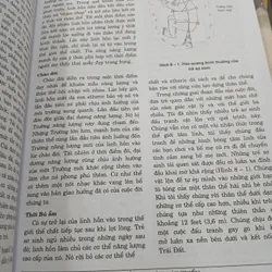 NHỮNG BÀN TAY ÁNH SÁNG - LÊ HÀ LỘC, NGUYỄN ĐÌNH PHƯ biên dịch 738262