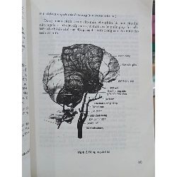 Bệnh mạch máu não và tủy sống - PGS.TS. Nguyễn Xuân Thản 799375