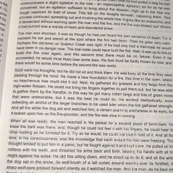 GIÁO TRÌNH VĂN CHƯƠNG MỸ - A COURSE IN AMERICAN LITERATURE - NXB Đại học Quốc gia TP HCM 496256