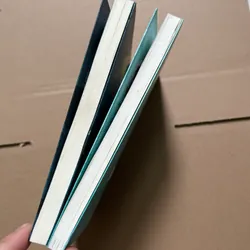 Chưa kịp lớn đã phải trưởng thành (bộ 2 quyển) 605206