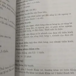HUYỆT CHÂM CỨU TRONG THẦN KINH HỌC - HỒ HỮU LƯƠNG 999768