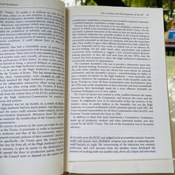 THE GOVERNMENT AND POLITICS OF THE EUROPEAN UNION  547493