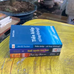 COMBO CUỘC SỐNG NHIỆM MÀU- SUỐI NGUỒN TÂM KINH- TIỀN KIẾP CÓ HAY KHÔNG? 777943