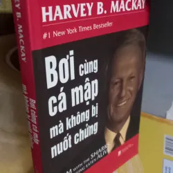 bơi cùng cá mập 973396