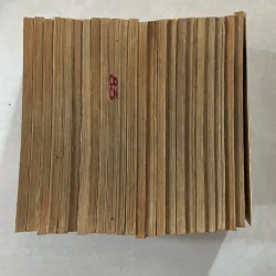 RAI 23/33 tập - Joji Manabi 975109