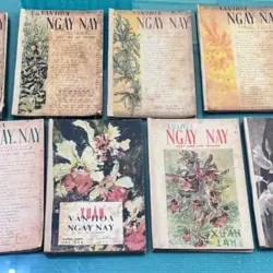 văn hoá ngày nay - Nhất Linh 