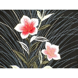 Áo khoác / Áo choàng đường đi 2 món - Hàng hiệu Authentic 875832