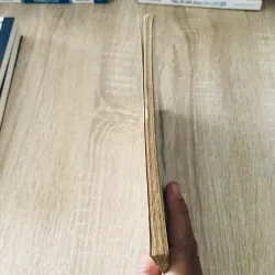 THẾ THỨ CÁC TRIỀU VUA VIỆT NAM  1029165