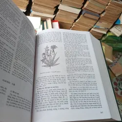 Những Cây Thuốc Và Vị Thuốc Việt Nam- Đỗ Tất Lợi 779566