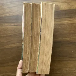 Mối tình đầu của Naopoléon - Annemarie Selinko 989848