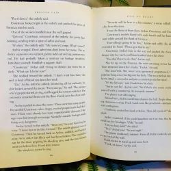 [Sách tiếng Anh 2hand] Like new 90% - Evil at Heart – Chelsea Cain 961032