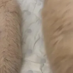 Áo lông bigsize 755540