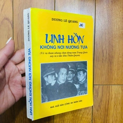 Linh hồn không nơi nương tựa - Dương Lê Quang #TAKE