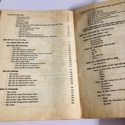 KÝ SINH TRÙNG Y HỌC  547841