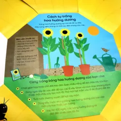 Vòng Đời Kỳ Diệu - Hoa Hướng Dương Lớn Lên Như Thế Nào?  753555