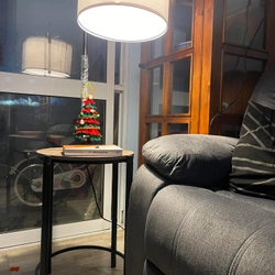 Đèn trang trí cạnh sofa 522989