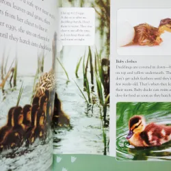 Big babies, little Babies: Discover the enchanting world of newborn animals 7899