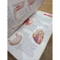 Handy homework helper Science 599302