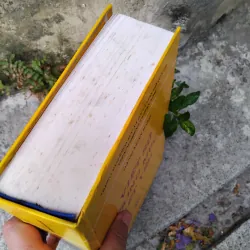 Việt sử cương mục tiết yếu của Đặng Xuân Bảng  1026057