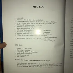 Vóc dáng Việt Nam 20 năm đổi mới  721068