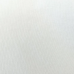 Áo thun DIOR - Hàng hiệu Chính hãng 901245