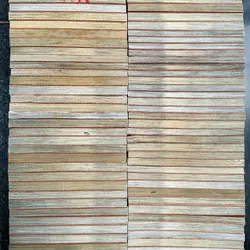 Thám Tử Lừng Danh Conan 570263