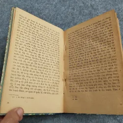 MÙA RẪY - NAM HÀ 606651