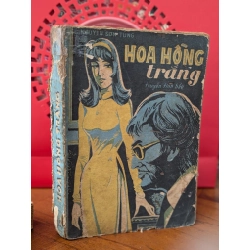 HOA HỒNG TRẮNG - SƠN TÙNG