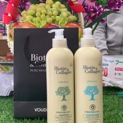 🌸  DẦU CẶP BIOTIN & COLLAGEN 🌸
 145035