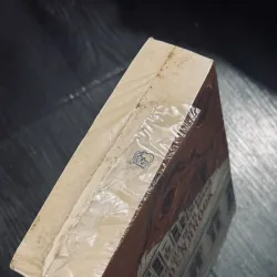 Gia đình Buddenbrook (seal) 994212