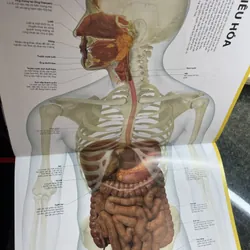 Atlas giải phẫu cơ thể người Bs Alice Roberts 680876