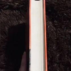 Tiếng chim hót trong bụi mận gai 737313